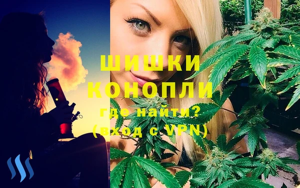 крисы Вязники