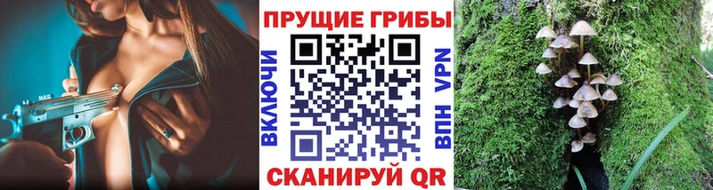 Псилоцибиновые грибы мицелий Дивногорск